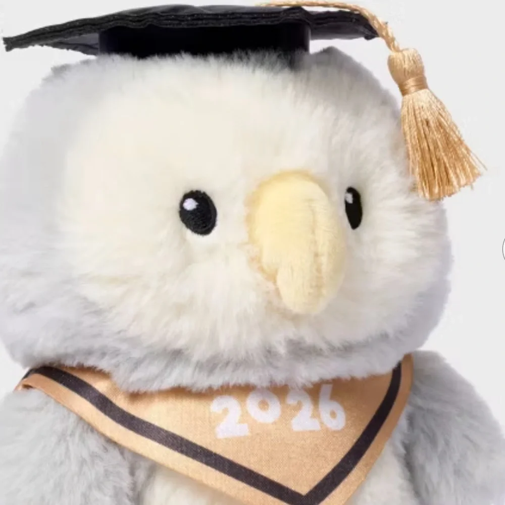 Last One! 7'' Grad Owl Stuffed Animal - Gigglescape - Picture 2 of 2